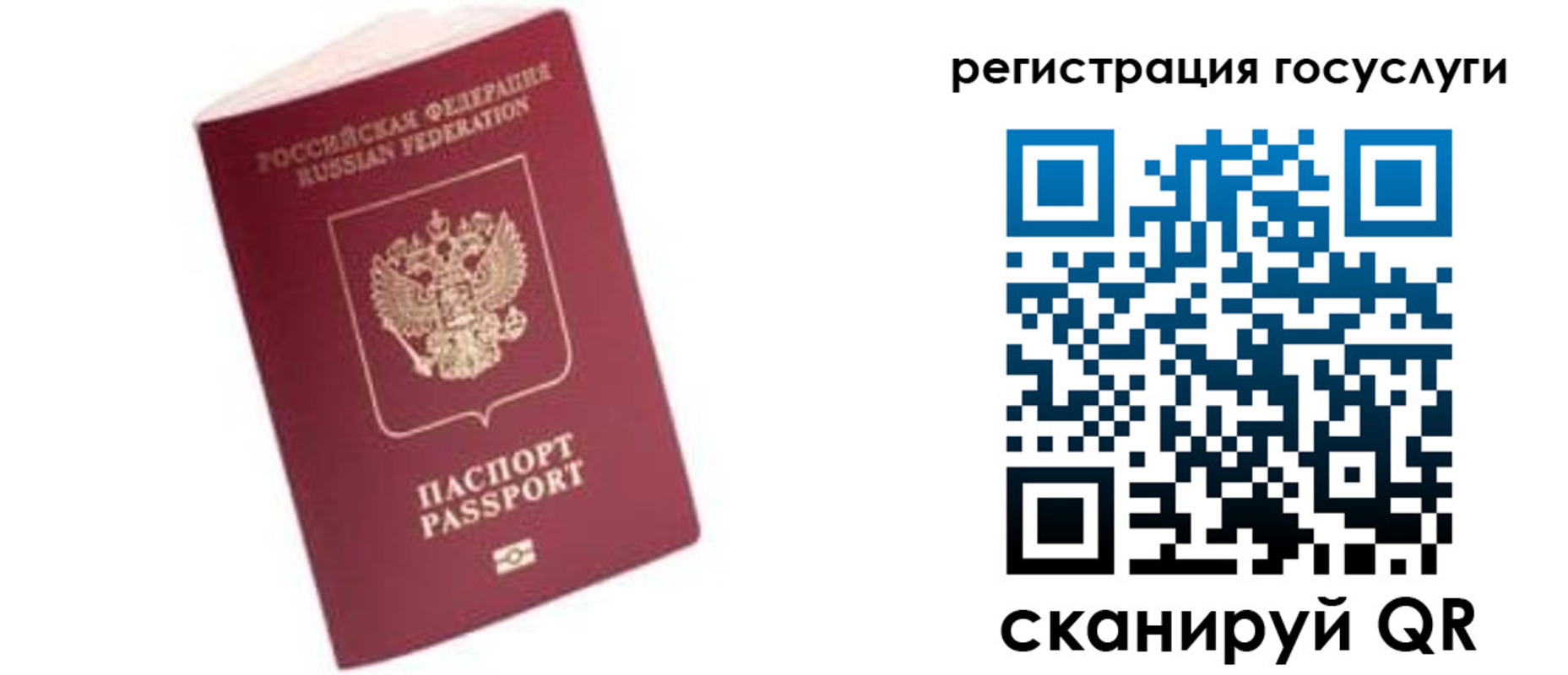 прописка поиск в Высоковске